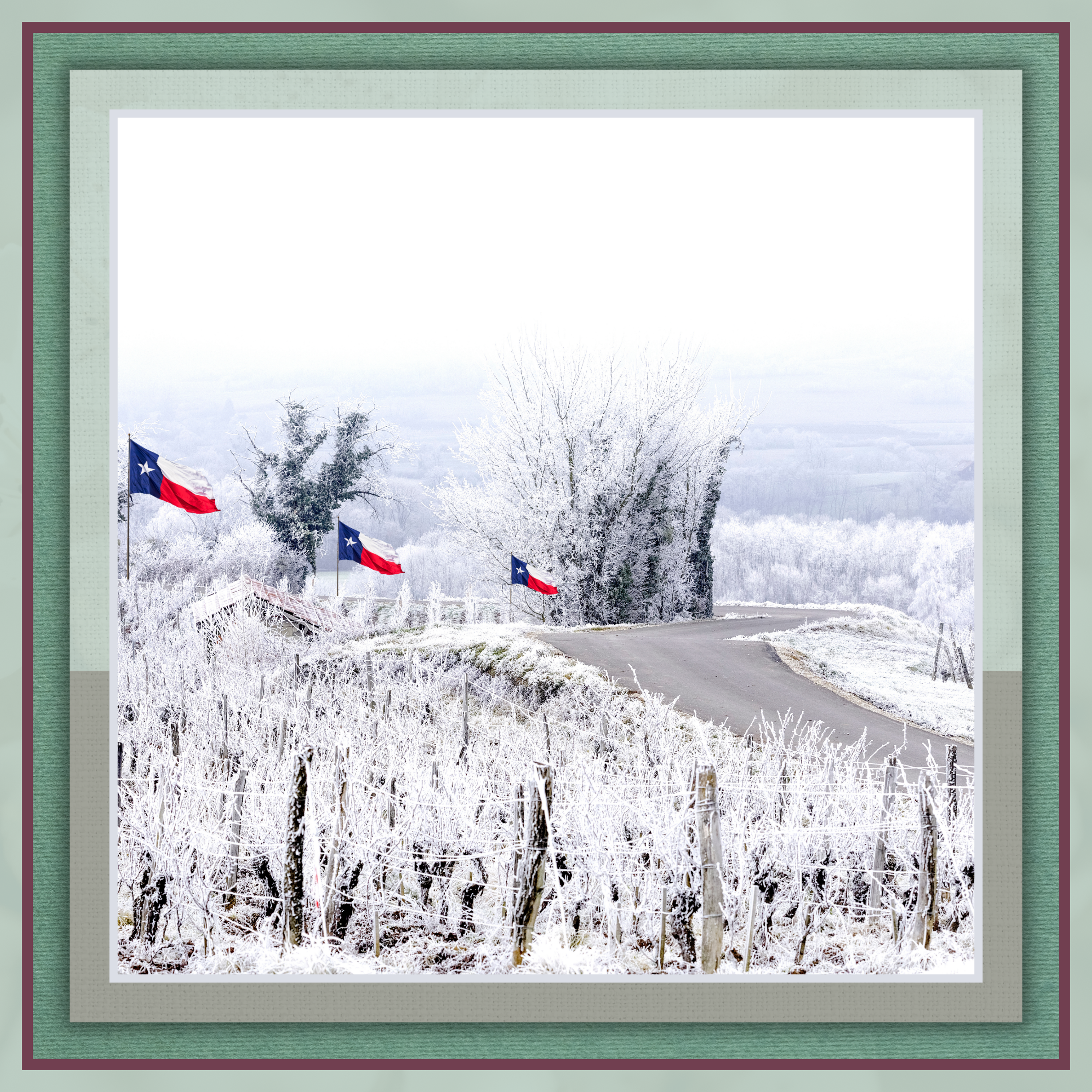 2 | SEASON4 | Winter Florals