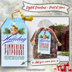 Printable Blue Holiday Potpourri Tag
Blue snowflake simmering potpourri gift tag with pine and citrus illustration, shown on a holiday gift bag. Printable and ideal for teacher gifts, office surprises, and festive neighbor drop-offs.