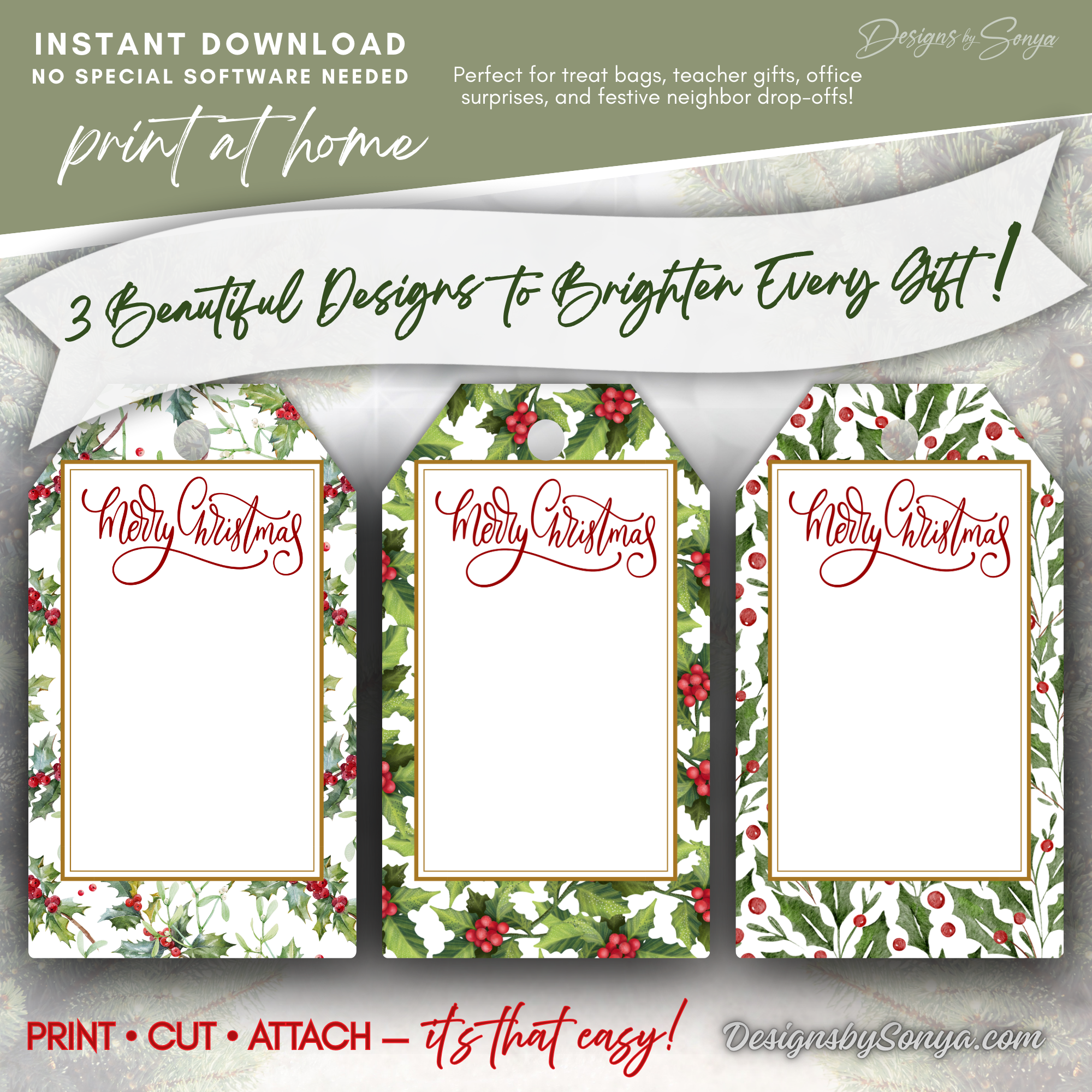 3 Merry Christmas Gift Tag Designs
Set of 3 printable Christmas gift tags featuring festive holly patterns. Perfect for DIY holiday wrapping, teacher gifts, and neighbor treats.