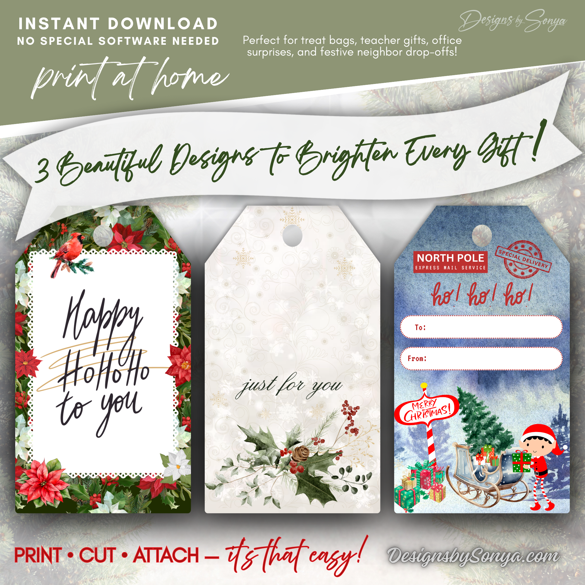 Three Christmas Gift Tag Designs Overview
Set of three digital holiday gift tags: poinsettia “Ho Ho Ho,” elegant holly “Just for You,” and North Pole express elf with presents.