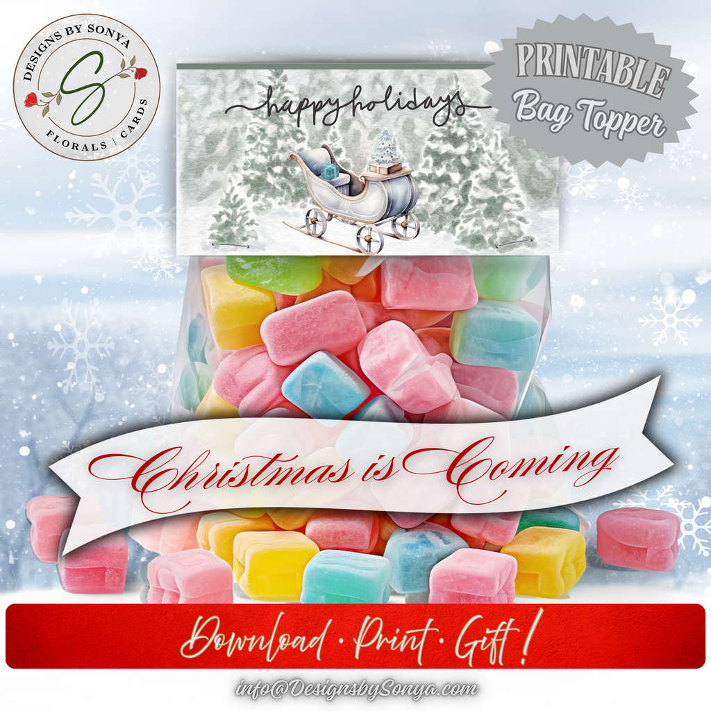 Christmas Is Coming Mockup
Bag filled with pastel candies topped with sleigh design; winter backdrop with “Christmas is Coming” banner for festive styling.