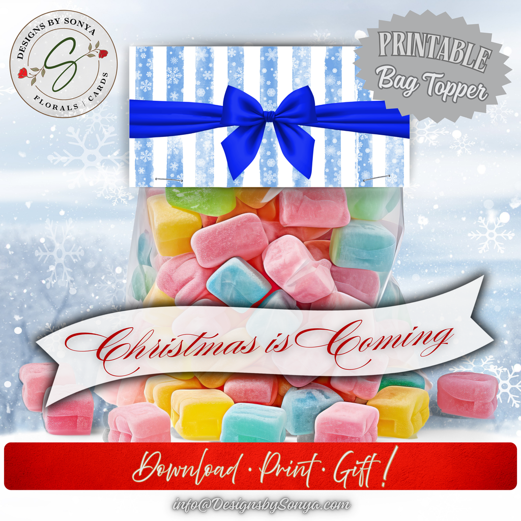 Printable Christmas Candy Bag Topper
Finished bag with colorful candy and the blue bow topper; showcases how the 4x2 printable creates a festive holiday gift; Download • Print • Gift.