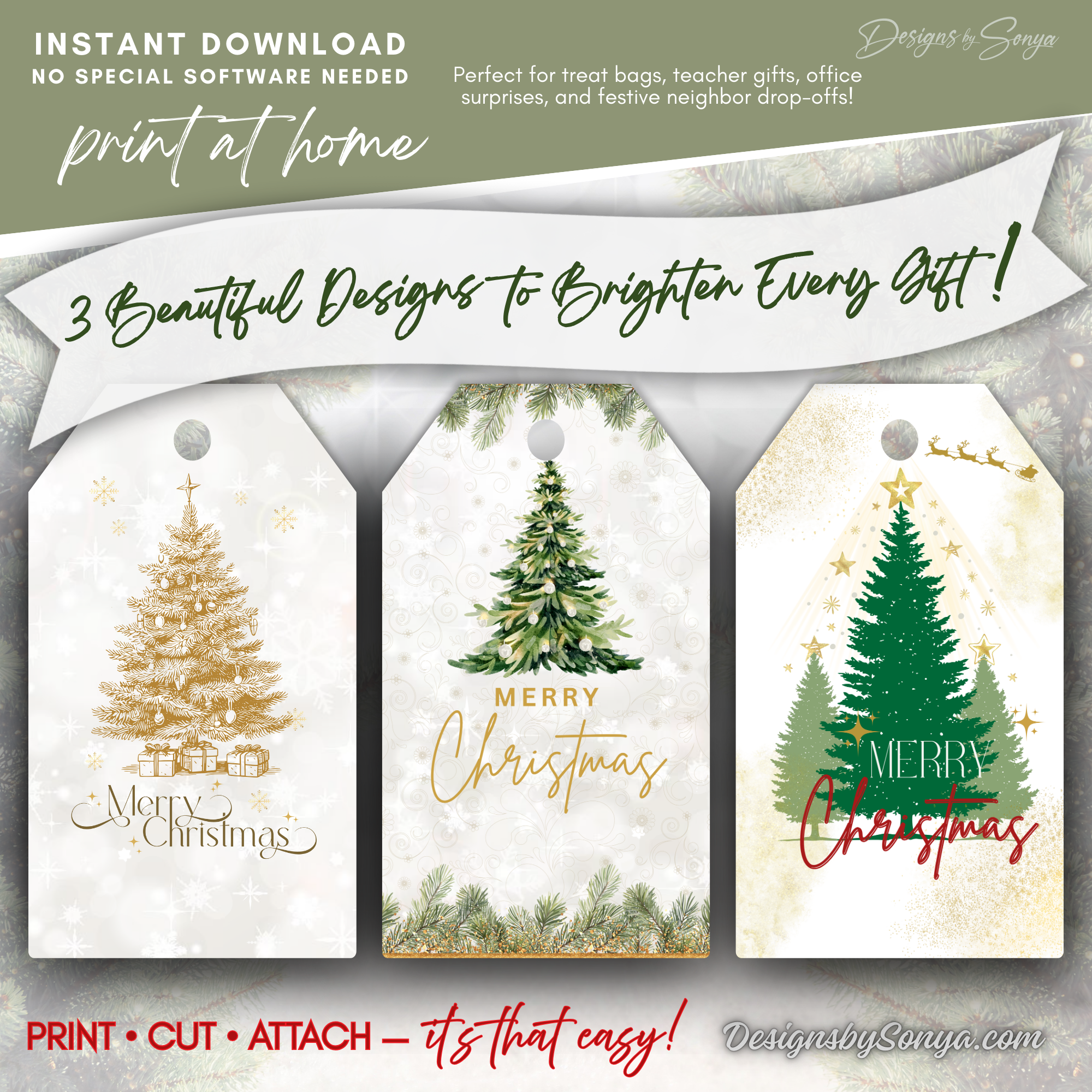 Overview of 3 Designs (3 Beautiful Designs to Brighten Every Gift!)
Set of 3 printable Christmas gift tag designs. Banner reads “3 Beautiful Designs to Brighten Every Gift!” Ideal for holiday wrapping, teachers, and neighbors.