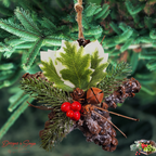 Ornament Displayed on Christmas Tree Branch
Handmade pinecone star ornament with frosted pine accents, red berries, and holly leaves hanging by jute rope on a Christmas tree.
