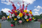 Bright Headstone Saddle with Mixed Florals
Artificial spring and summer headstone saddle featuring yellow roses, pink roses, white daisies, and red tulips with greenery on a granite memorial.